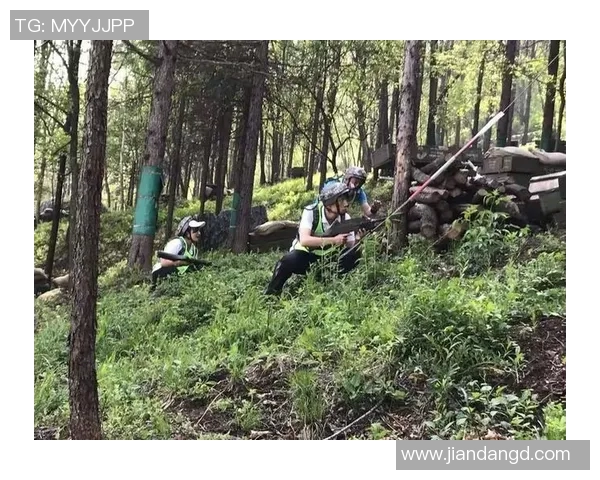 北京排球队阵地战解析:战术布局与团队协作的深度剖析 北京排球队阵地战解析:战术布局与团队协作的深度剖析