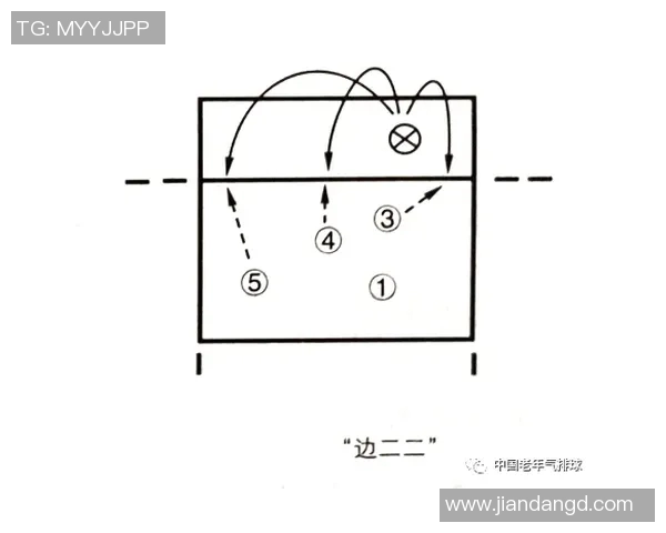 南京排球队进攻战术深度分析与实战应用探讨