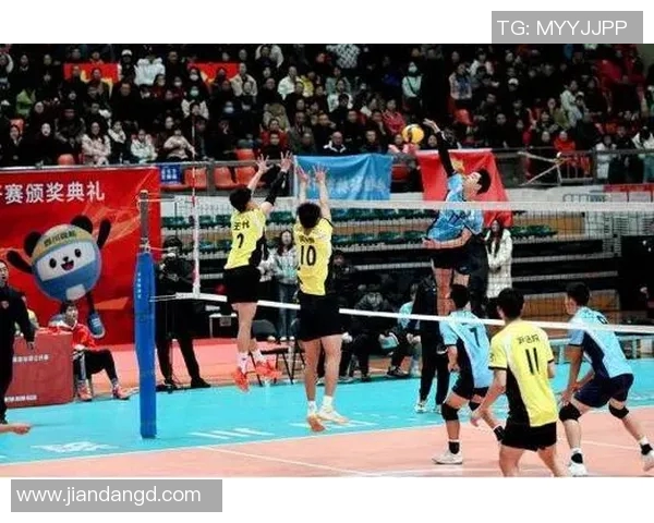 成都排球队的默契配合揭秘：排球赛场上的团队精神与战术分析