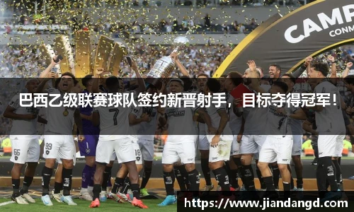 巴西乙级联赛球队签约新晋射手，目标夺得冠军！